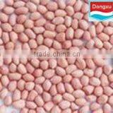 Shandong Peanut Kernels
