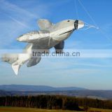 3d plane kite