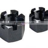 Professional Manufacture Din935 Hex Slotted Nuts thumbnail-1