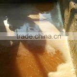 DAF Dissolved Air Flotating Equipment for Chicken Slaughter-house Wastewater thumbnail-2