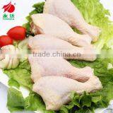 Halal Frozen Chicken Drumstick