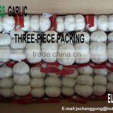 Shandong Garlic Price for Sale thumbnail-4