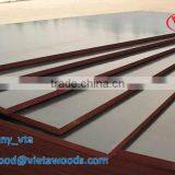 Plywood From Vietnam: Eucalyptus Core Waterproof Film Faced Plywood thumbnail-2