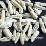 Supply Chinese Roasted Salted White Sunflower Seeds With Good Quality For Sales thumbnail-5