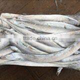 Good Quality of Frozen Ribbon Fish 120-300g thumbnail-4