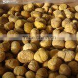 Organic Roasted Shelled Cooked Frozen Chestnuts thumbnail-3