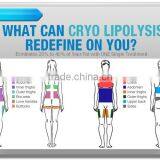 Fat Freezing Hottest Criolipolisis Lipo Cryo Fat Freezing Machine 2 Cryo Handles Cryolipolysis Slimming Machine 50 / 60Hz thumbnail-6