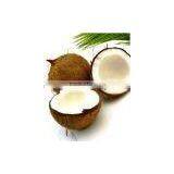 Fresh Organic Coconut thumbnail-1