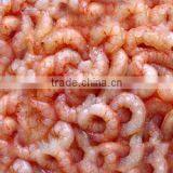 Frozen red shrimp with good quality PUD seafood for hot sale