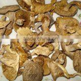Detan Mushroom Dried Oyster Mushrooms thumbnail-2