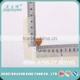 2016 Chinese New Crop Bitter Apricot Kernels Out of Shell is Ready for You thumbnail-2