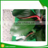 Incredibly Realistic Artificial Rubber Ficus Plant Tree for Home and House thumbnail-5