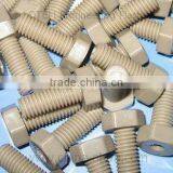 PEEK Outer Hexagonal Bolts thumbnail-1