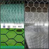 Hot Sale 2x2 Galvanized Welded Wire Mesh for Fence Panel thumbnail-5