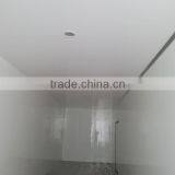 International Truck Body Parts/fiberglass Truck Body/refrigerated/freezer Van Body for Fish thumbnail-5