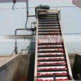 Tomato Concentrate thumbnail-4