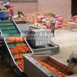 Carrot Washing Peeling Prodcution Line Processing Line thumbnail-2
