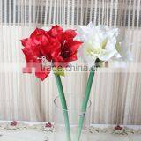 SJ10111100 Guangzhou Shengjie Artifiical Clivia Flower Sale With Factory Price thumbnail-3