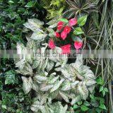 SJ0409020 Fake Bush Wall Outdoor thumbnail-3