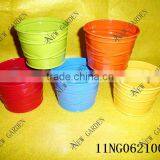 Color Paint Metal Flower Pot thumbnail-1