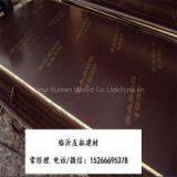 Melamine Gule 15mm Black Film Faced Plywood