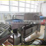 10000pcs/h Egg Brush Washer Egg Processing Machine , Egg Cleaning Candling Machine , thumbnail-4