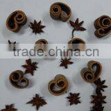 Autumn Star Anise