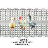 Poultry Farms Equipment, Animal Husbandry Equipment, Plastic Floor Beams for Pig Farming Equipment thumbnail-3