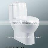 Siphonic One Piece Toilet DZO001