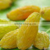 2015 New Crop Best Quality Fruit Products Dried Golden Sweet Raisin thumbnail-3