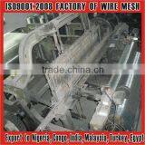 China Anping Factory Supplys Square Filter Mesh Electro Galvanized Wire Mesh