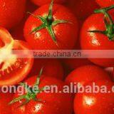 Lycopene Prostate Chinese Natural Organic Health Products thumbnail-5