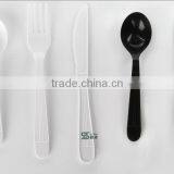 Plastic Disposable Fork and Spoon