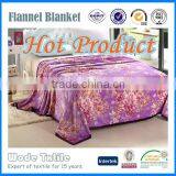 Professinal Manufacture Flannel Blanket Microplush Custom Adults TV Blanket thumbnail-2