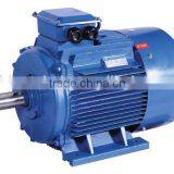 double shaft electric motors