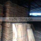 Viet Nam Suppliers 1.5 - 2.0 mm Eucalyptus Veneer thumbnail-3