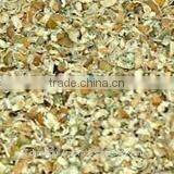 Cuminum Cyminum thumbnail-3