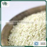 Latin America Machine Harvested Sesame thumbnail-5