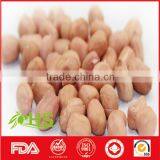 2016 New Crop Fresh Blanched Peanut Kernels thumbnail-4