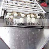 Industrial Automatic Boiled Egg Peeler Peeling Processing Machine thumbnail-5