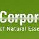 Shiv Sales Corporation company overview - view 1 thumbnail