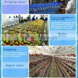 Fish Farming Equipment Recirculating Aquaculture System Marine Ozone Generator thumbnail-2