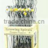 Tomato Spiral thumbnail-2