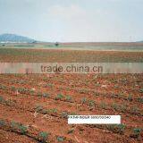 Pathfinder Irrigation Drip Tape thumbnail-5