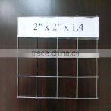 2"x2" Stainless Steel Wire Welded Mesh