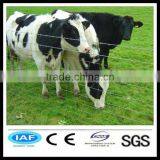 Hot Sales China Manufacture Pvc Coated Cattle Fence(factory) thumbnail-1