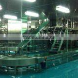 China High Quality Conveyor Belt System/ Conveyor Belting Machine/belt Conveyor thumbnail-4