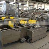 Vegetable Washing Machine / Vegetable Washer thumbnail-5