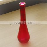 Glass Vase(HLTH-023)