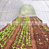 Spunbond Pp Agriculture Nonwoven Fabric Roll For Seeding Bag thumbnail-1